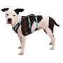 Postroj pre psa Ruffwear Flagline™ Harness