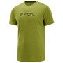 Pánske triko Salomon Agile Graphic Tee M-avocado heat