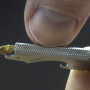 Univerzálny kľúč True Utility Keytool TU 247