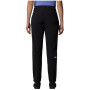 Dámske funkčné nohavice The North Face Speedlight Regular Pant