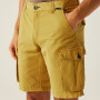 Pánske kraťasy Regatta Shorebay Shorts II