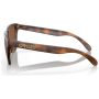 Slnečné okuliare OAKLEY Frogskin Prizm Tungsten