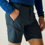 Pánske kraťasy Regatta Xert Stretch Shorts