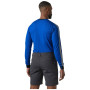 Pánske funkčné tričko Helly Hansen HH Lifa Stripe Crew