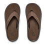 Žabky Gumbies Noosa Brown hnedá Brown