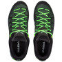 Pánske topánky Salewa Ms Mtn Trainer Lite Gtx