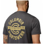 Pánske tričko Columbia Parsons Point™ SS Back Graphic Tee
