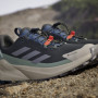 Pánske turistické topánky Adidas Terrex Trailmaker 2 Gtx Sl
