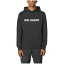 Pánska mikina Salomon Logo Hoodie M